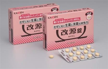 改源_株式会社カイゲン