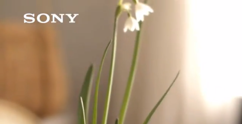 スクリーンショット 2017-07-27 2.11.25